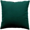 Image de Coussin Déco Uni Déhoussable "panama" 60x60cm Vert Foncé