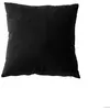 Image de Coussin dehoussable en velours Noir 40x40 cm