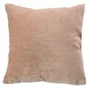 Image de Coussin déhoussable en velours Pêche 40x40 cm