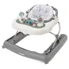 Image de Babymoov Trotteur 2 En 1 Zinc