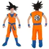 Image de DÉGUISEMENT SANGOKU GARÇON 11/12 ANS Orange Cuivre Mandarine