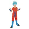 Image de Déguisement - CHAKS - Goku Saiyan - 5-6 ans - Rouge/Bordeaux - Haut pantalon et accessoires