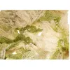 Image de Chaks 12264 Très Grand Tissu Déco en lambeaux 6 mètres Verdatre