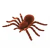 Image de ARAIGNÉE TARENTULE DÉCO JOUET 18X11.5X3.5CM BRUN Marron Chocolat