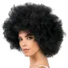 Image de PERRUQUE AFRO JACKSON CHEVEUX CRÉPUS NOIR ADULTE
