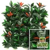 Image de Feuillage Artificiel - FRANCE GREEN - Photinia - 1m x 1m - Plastique Résine - Matière synthétique