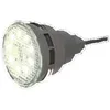 Image de Mini projecteur LED piscine à visser sur le refoulement - Mini-Brio 2 M12 - Blanc Chaud - CCEI