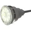 Image de Projecteur LED 6W blanc M6 Mini-Brio+ seul - CCEI