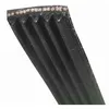 Image de Courroie extensible pour lave-linge CANDY - Modèle CTD125 CTG136 - 1210 j5 mael