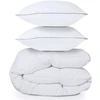 Image de Couette 220x240 Cm Aela En Plume D'oie Anti Acarien 500 Gr + 2 Oreillers