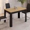 Image de Table à manger rectangle fixe - IDMARKET - ROZY - Noir et bois - 4 personnes - 110 cm