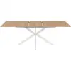 Image de Table à manger extensible rectangle alix 6-10 personnes bois et blanc 160-200 cm