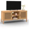 Image de Meuble tv 110 cm edhen 2 portes bois et cannage
