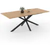Image de Table à manger rectangle alix 10 personnes pied araignée bois et noir 200 cm