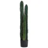 Image de Cactus Artificiel Grand Réalisme