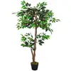 Image de Plante Artificiel Ficus
