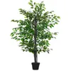 Image de Plante artificielle - Outsunny - ficus hauteur 145 m tronc branches liane lichen réalisme - plastique - 145 m