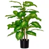 Image de Plante artificielle - arbre artificiel - HOMCOM - calathea hauteur 95 cm pot ciment décoration intérieur - plastique - 95 cm