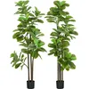 Image de Lot De 2 Ficus Lutea Artificiels