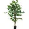 Image de Plante Artificiel Ficus
