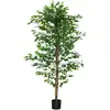 Image de Plante Artificiel Ficus Hauteur 1,8 M Grand Réalisme Pot Inclus