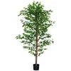 Image de Plante artificielle - HOMCOM - arbre artificiel ficus hauteur 180 m tronc liane lichen - plastique - vert