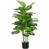 Image de Plante Artificielle Calathea