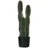 Image de Cactus artificiel Outsunny grand réalisme plante artificielle grande taille dim. Ø 17 x 60H cm vert
