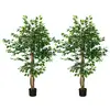 Image de Lot de 2 plantes artificielles arbres ficus h.1,50 m tronc branches liane lichen feuilles grand réalisme pot inclus