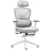 Image de Chaise de bureau ergonomique inclinable support lombaires repose-pied blanc gris