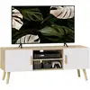 Image de Meuble Tv Design Scandinave 2 Portes 2 Niches