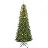 Image de Sapin artificiel led x 350 blanc chaud ou multicolore 9 modes h.210 cm 1273 branches support vert