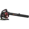 Image de Souffleur - Aspirateur - Broyeur Thermique, 26 Cm3