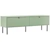 Image de Meuble TV 2 portes en acier et MDF décor mélaminé 150 cm vert sauge - Oviala