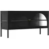 Image de Meuble TV moderne 2 portes L115 cm en métal noir - Oviala