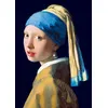 Image de Bluebird Puzzle Puzzle D'art Vermeer La Jeune Fille À La Perle 1000 Pièces