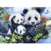 Image de Puzzle Sans Marque 1000 Pièces 69 X 47,8 Cm Multicolor Carton Et Papier