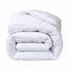 Image de Couette grand froid 240x260 cm 100 % microfibre de 600gm² très chaude thermorégulatrice PREMIUM