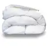 Image de Couette tempérée luxe plumes 200x200 cm - 100% plumes, qualité 500 gm² PREMIUM