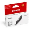 Image de Cartouche D Encre Canon Pixma Chroma Life 100 Ts8750 S Bl Gris