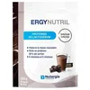 Image de Nutergia Ergynutril Cacao Protéines De Lactosérum 300g