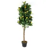 Image de Plante Artificielle - Home Deco Factory - Citronnier - Vert Et Jaune