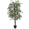 Image de Plante Artificielle - Home Deco Factory - Feuillage Panaché - Vert