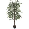 Image de Plante Artificielle - Home Deco Factory - Feuillage Panaché - Vert