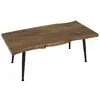 Image de Table basse - home deco factory - forest - bois - noir et marron