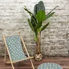 Image de Plante Artificielle - Home Deco Factory - Bananier Artificiel Xxl - Vert Et Marron