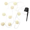 Image de Guirlande Lumineuse Solaire 165cm Beige