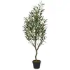 Image de Plante artificielle - home deco factory - olivier - réaliste - vert