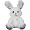 Image de Peluche - The Concept Factory - Kawaii - Animée - Blanc