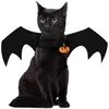 Image de Déguisement chien ou chat ailes de chauve-souris costume